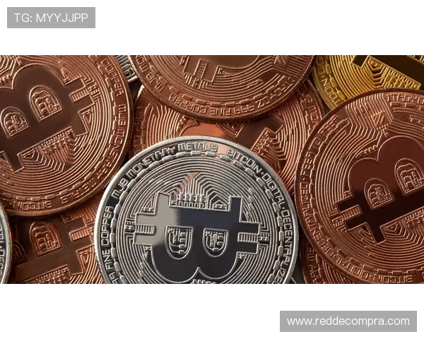 2024年最新老虎机价格走势预测及购买建议让你轻松掌握市场动态