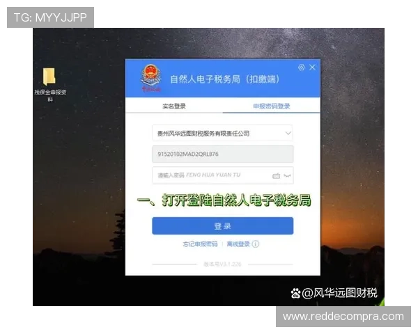 掌握hub电子税务局操作流程提升税务申报效率与合规性
